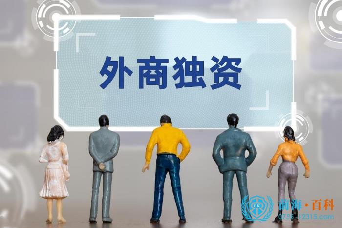 外商独资企业